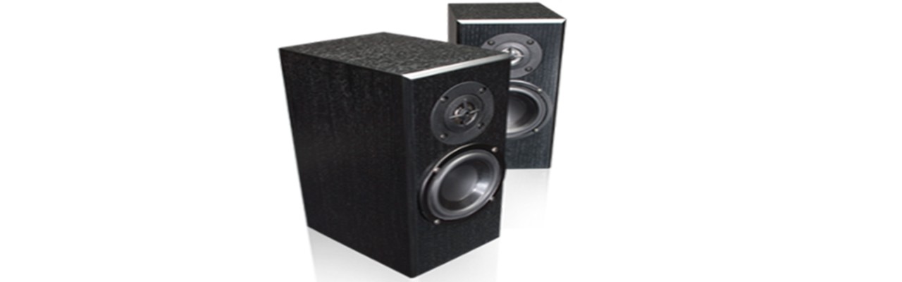 totem-speakers-review